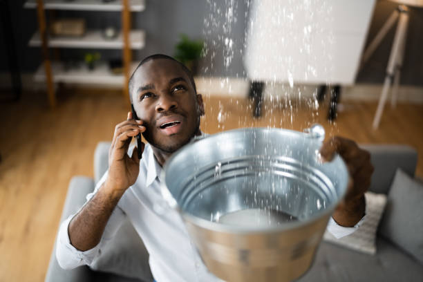 Best Water damage restoration near me  in Port Barre, LA