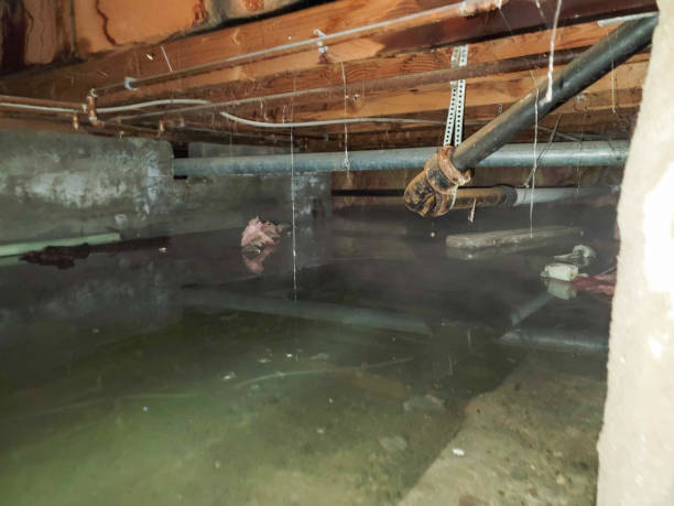 Best Fire Damage Restoration  in Port Barre, LA