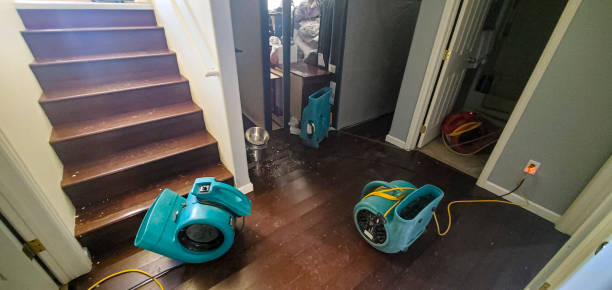 Water damage restoration experts in LA