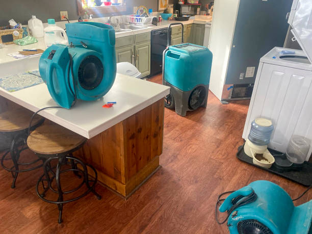 Best Local water damage restoration  in Port Barre, LA