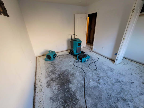 Best Water damage contractors near me  in Port Barre, LA