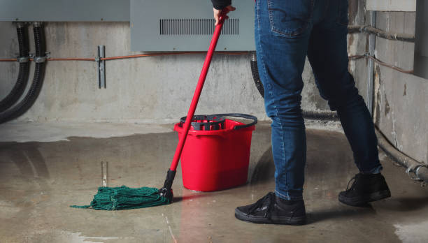 Professional Water damage restoration in LA
