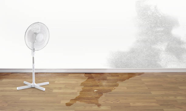 Best Residential water damage restoration  in Port Barre, LA