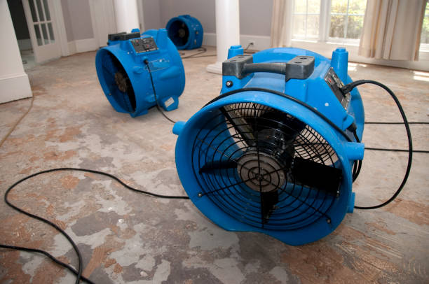 Best Sewage cleanup and water damage restoration  in Port Barre, LA
